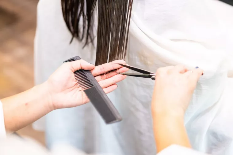 Combien de centimètres couper pour avoir des cheveux épais en bonne santé ?, Marseille 5, Plein Sud